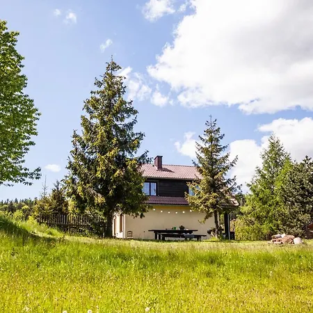 Dom Na Wielkiej Polanie Sidzina Exterior foto