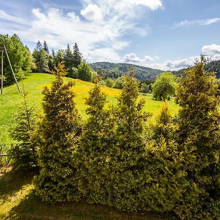 Dom Na Wielkiej Polanie Sidzina Exterior foto