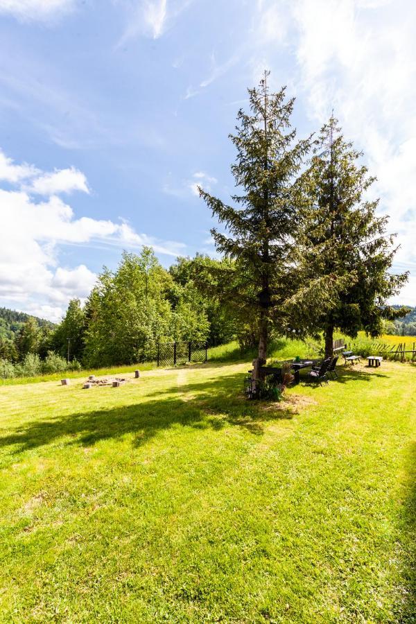 Ferienhaus Dom Na Wielkiej Polanie